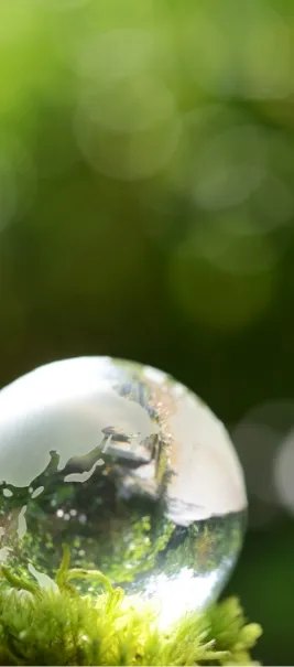 地球にやさしい環境配慮を表す画像